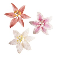 Decorações para bolos com flores lilás sortidas 8 cm - Dekora - 20 unidades