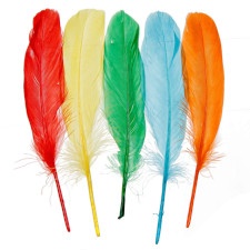 Plumas coloridas