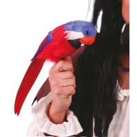 Papagaio pirata