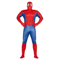 Fatos de super-herói de aranha para adultos