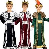 Fato elegante de Sábio para crianças