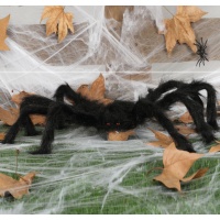Aranha preta - 70 cm
