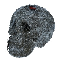Caveira com teias e aranhas de 20 cm