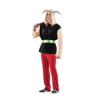Fato Astérix para adulto