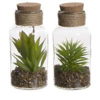 Planta artificial em jarra de vidro sortida de 16,5 cm