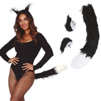 Conjunto de acessórios Lynx