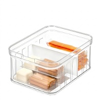 Organizador 21,2 x 16,2 x 9,5 cm com divisória