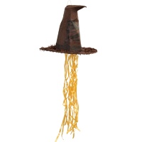 Pinhata 3D de Harry Potter em forma de chapéu de 52 x 41 cm