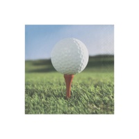 Guardanapos de golfe 16,5 x 16,5 cm - 18 unid.