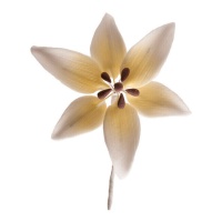 Decoração orquídea branca 8 cm - Dekora - 20 unidades