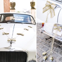 Kit de decoração para carro Natural Weddding