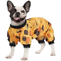 Fato de abóbora para cães