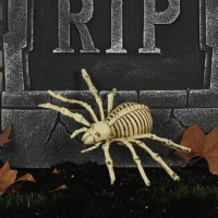 Esqueleto de aranha de 24 cm