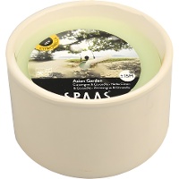 Vela de citronela branca em terracota de 9,8 cm - 1 peça