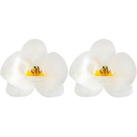 Oblatas de flor de orquídea 8,5 x 7,5 cm - Dekora - 10 unidades