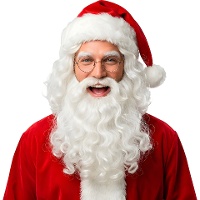 Peruca e barba do Pai Natal 250 gr