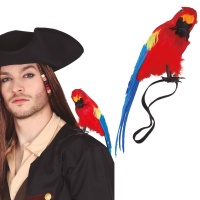 Papagaio pirata 30 cm