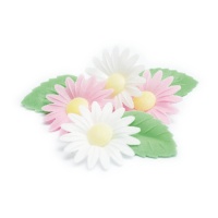 Bolachas de flor de margarida com folhas - Scrapcooking - 6 unid.