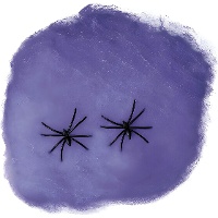 Teia de aranha de 20 g de cores com aranhas