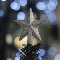 Estrela de árvore banhada a prata 10 cm