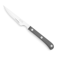 Faca para bifes Steak Basic 11,5 cm lâmina em polioximetileno perolado preto - Arcos