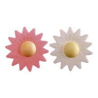 Bolachas florais margarida branca e cor-de-rosa 4,5 cm - Dekora - 100 unidades