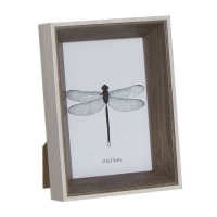 Moldura para fotografia de libélula para fotografia de 10 x 15 cm - DCasa