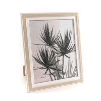 Moldura para fotografias Planta com sombra para fotografias de 20 x 25 cm - DCasa