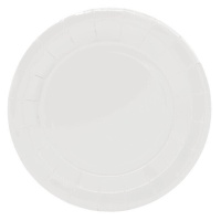 Pratos de cartão branco de 23 cm - 10 unid.