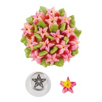 Bico flor estrela n.º 30 - Decora