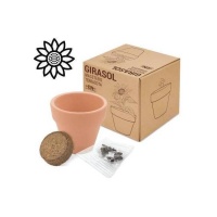 Vaso em terracota biológica com sementes de girassol