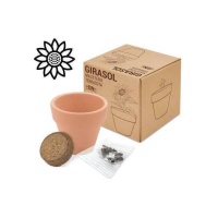 Vaso de terracota biológico com sementes de girassol