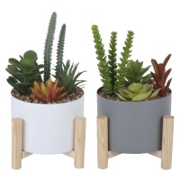 Planta artificial com vaso de duas cores e base de madeira 13 x 23 cm