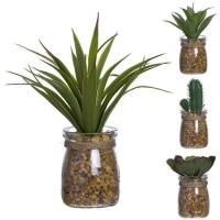 Planta de cacto artificial com vaso de vidro variado 5 x 16 cm
