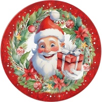 Pratos de 23 cm com o Pai Natal - 6 unidades