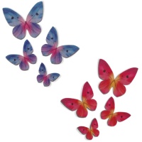 Bolachas borboleta coloridas de 3 a 6 cm - Dekora - 79 pcs.