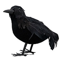 Corvo de 16 cm preto