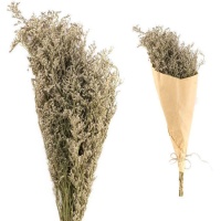 Bouquet Decorativo Love Grass 70 cm