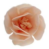 Bolachas de flor de magnólia rosa claro 6,5 cm - Dekora - 6 unidades