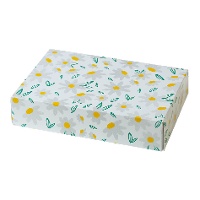 Caixa de 23,5 x 16 x 5 cm de margaridas