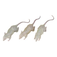Ratos fosforescentes 7 cm - 3 pcs.