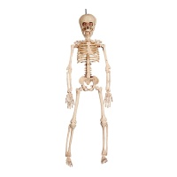 Pendente de esqueleto com luz de 41 cm