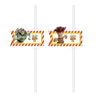 Palhinhas Toy Story 22cm - 4 peças