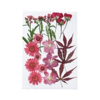 Flores secas prensadas Mix Red - Artemio - 12 unid.
