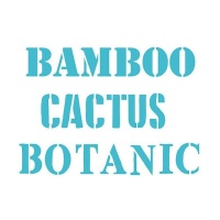 Estêncil palavras Botanic, Cactus e Bamboo 20 x 28,5 cm - Artis decor - 1 unidade