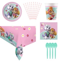 Kit aniversário Patrulha Pata Skye  Brinquedos e Artigos de Criança - Patrulha  Pata Store