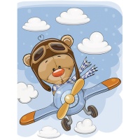 Cartão de piloto de pintura de diamante - Coleção D art