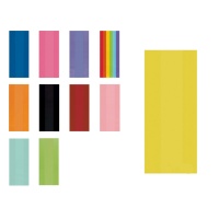 Sacos de plástico coloridos com fecho de correr 12,7 x 29,2 x 7,6 cm - 25 unid.
