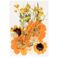 Flores secas prensadas Mix Golden - Artemio - 12 unid.