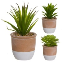 Planta artificial com vaso de duas cores sortidas 8 x 18 cm